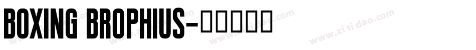 boxing brophius字体转换